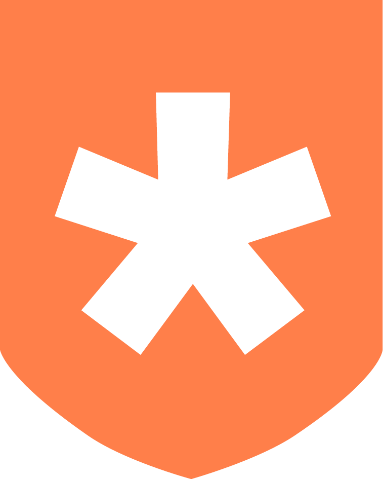 icon dmstr