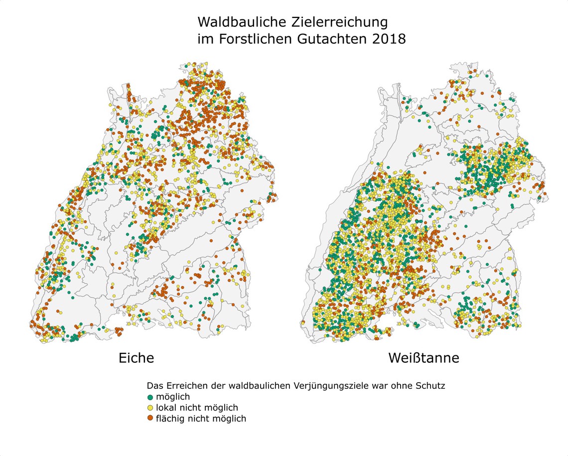 Waldbauliche Zielerreichung © FVA