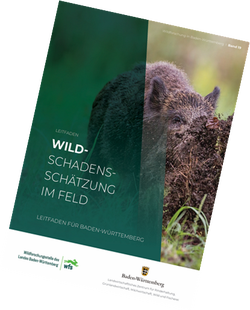 Leitfaden,Wildschadensschätzung,Feld,BW,Baden-Württemberg