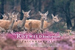 Rotwildkonzeption Umsetzung