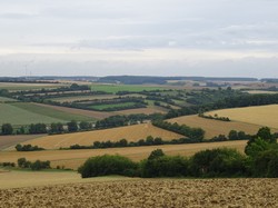 Heckenlandschaft, Lebensraumförderung