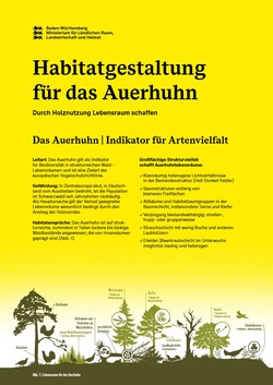 Auerhuhn Habitatgestaltung