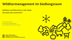 MLR, Vortrag, Wildtiermanagement, Siedlungsraum