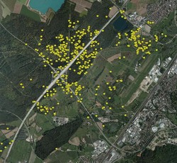 GPS-Lokalisationen Wildkatze FVA