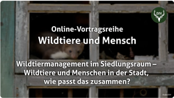 DJV, Vortrag, Wildtiere und Mensch