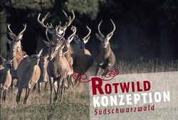 Rotwildkonzeption Südschwarzwald