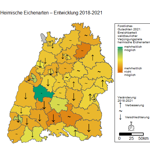 Eiche © FVA