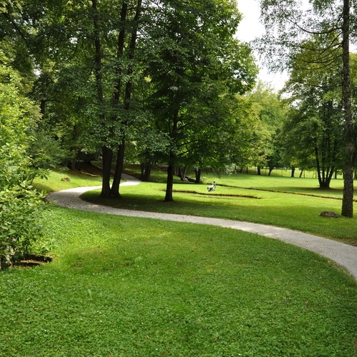 Lebensraum,Türkentaube