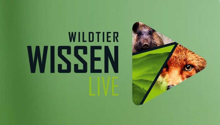 Wildtierwissen Live