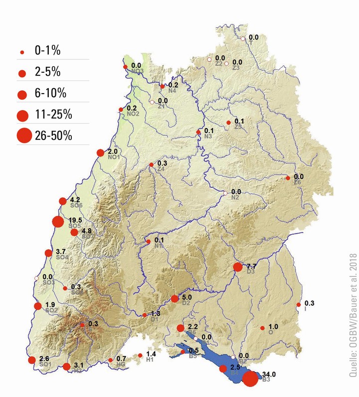 Winterverbreitung der Pfeifente in Baden-Württemberg