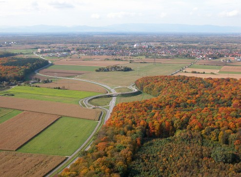 Zerschneidung des Lebensraums © Martin Strein