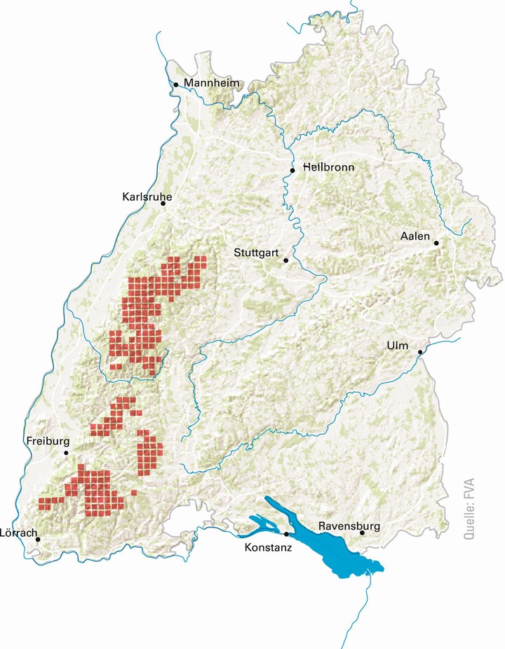Verbreitung des Auerhuhns in Baden-Württemberg © Wildtierbericht 2018