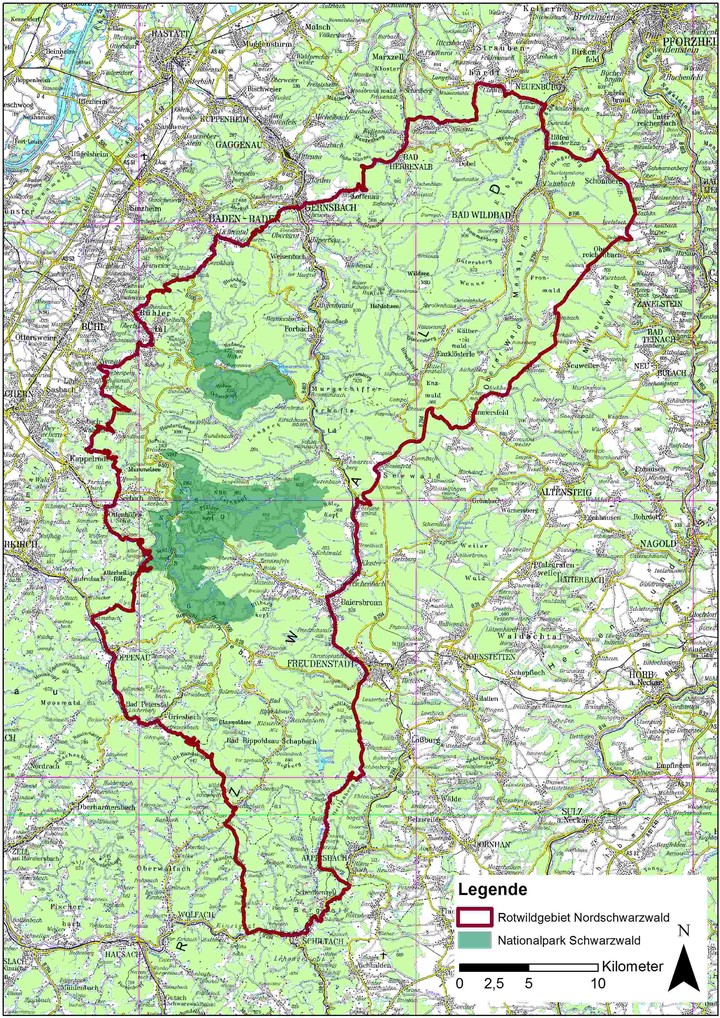 Rotwildgebiet Nordschwarzwald mit Nationalpark