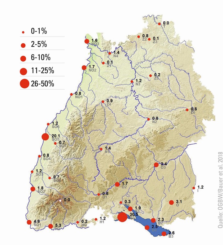 Winterverbreitung des Höckerschwans in Baden-Württemberg