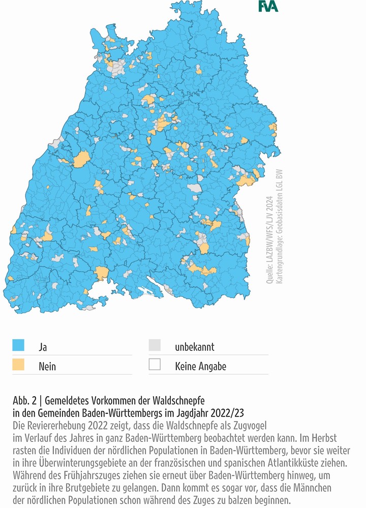 Waldschnepfe Verbreitung Baden-Württemberg © Wildtierbericht 2024