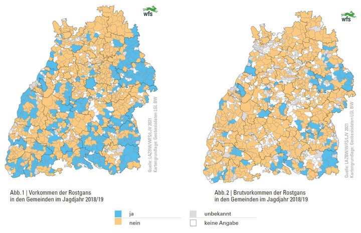 Wildtierbericht 2021, Vorkommen der Rostgans in Baden-Württemberg