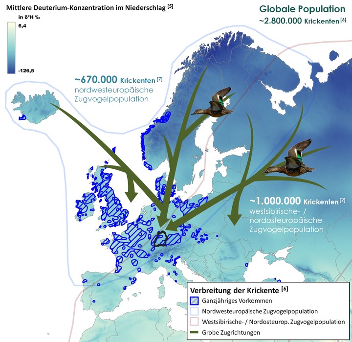 Krickente,BigMap,Europa,Bowen et al. 2005,IUCN Red List of Threatened Species 2020