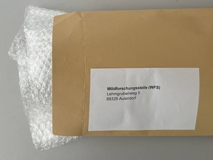 Projekt,WFS,Krickente