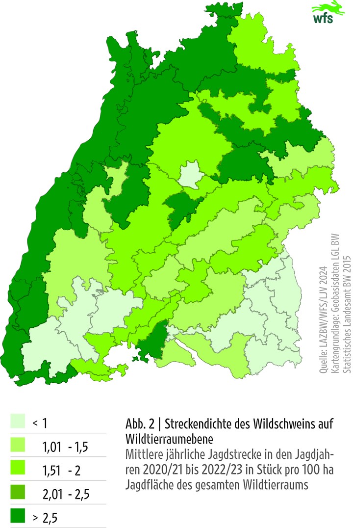 Wildtierbericht,2024,  Streckendichte des Wildschweins auf Wildtierraumebene