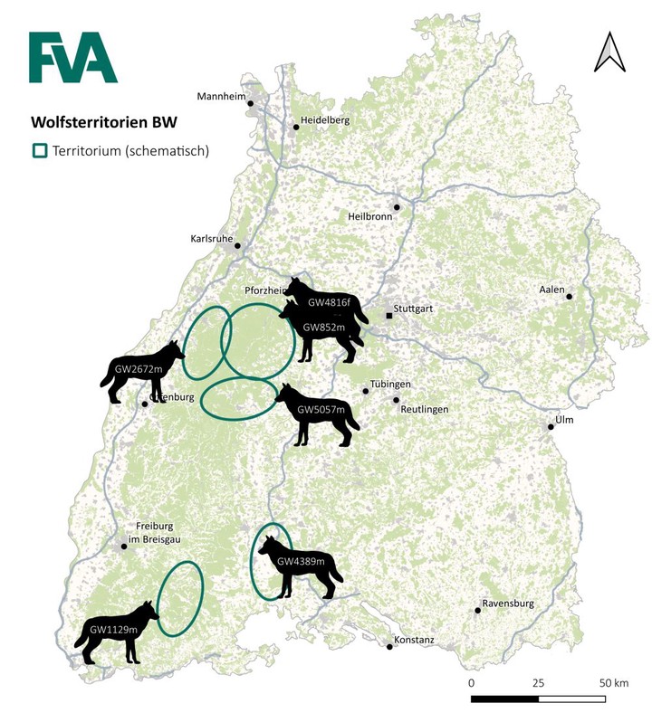 Wolfsterritorien in Baden-Württemberg