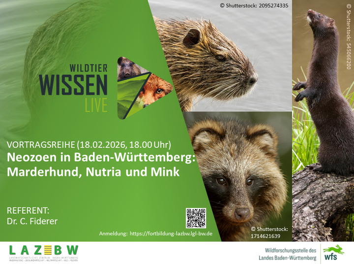 Wildtierwissen Live,Wildforschungsstelle, Baden-Württemberg