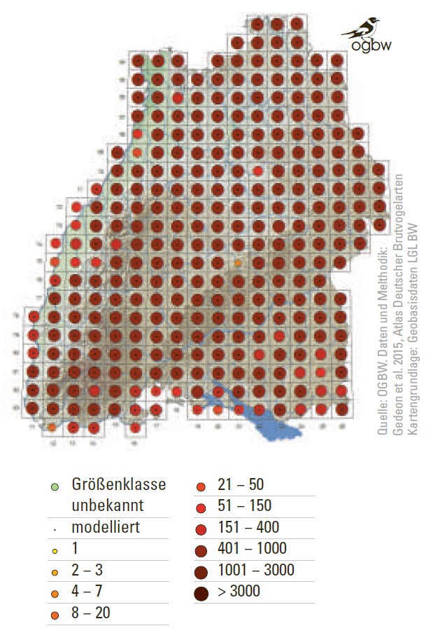 Vorkommen der Rabenkrähe in den Gemeinden