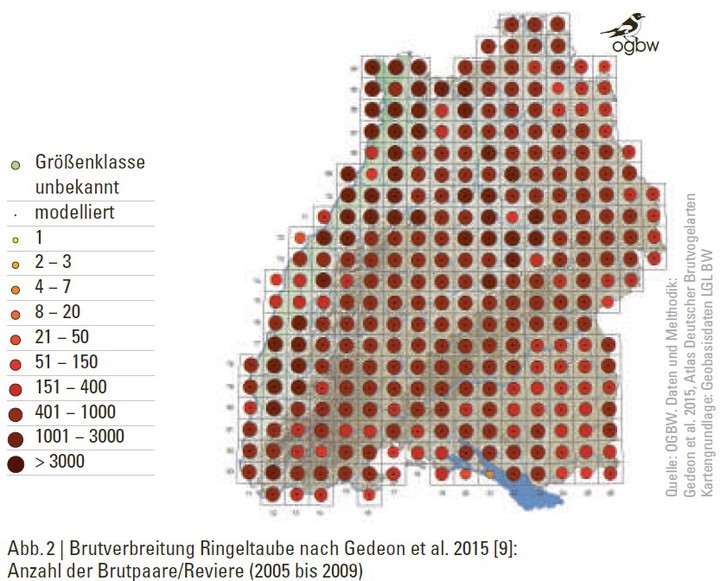 Wildtierbericht 2021,Ringeltaube,Karte,Brutverbreitung