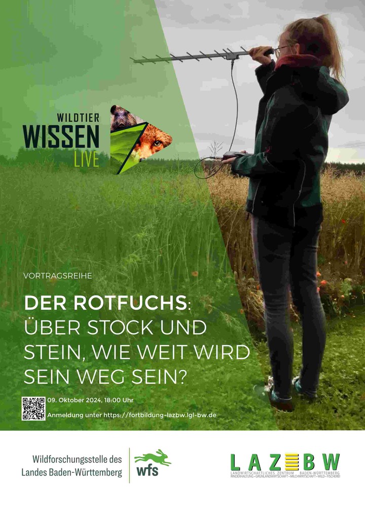 Wildtierwissen Live, online, seminar,rotfuchs