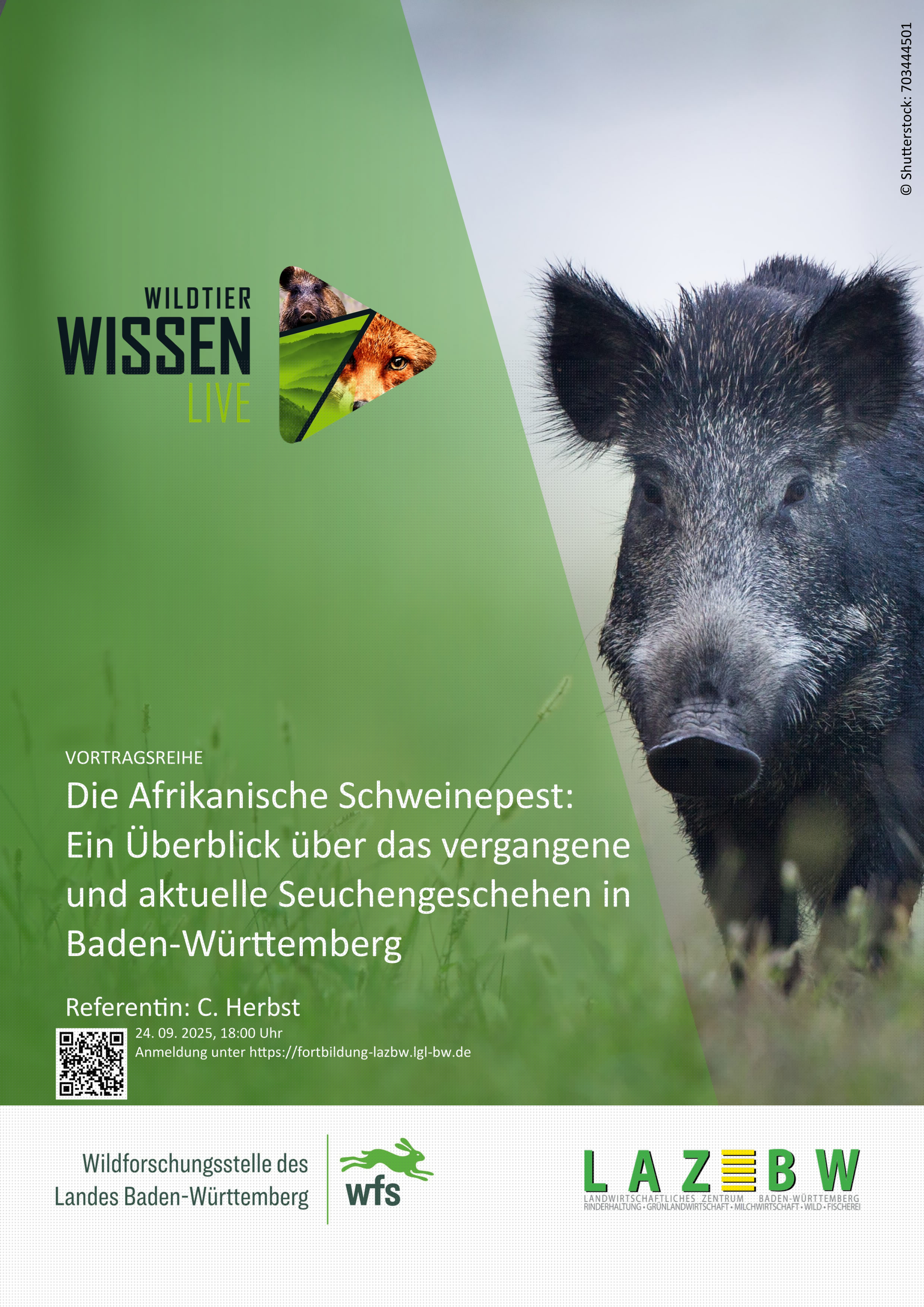 Wildtierwissen Live, Wildforschungsstelle,ASP