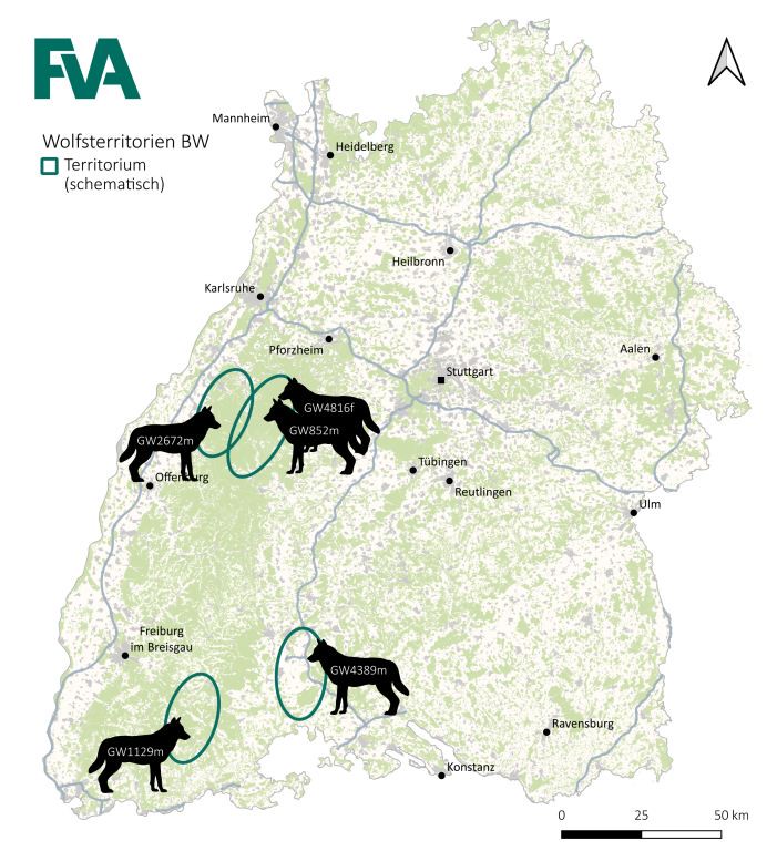 Wolfsterritorien in Baden-Württemberg