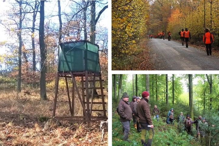 Jagdförderung InfraWild Bildkollage der Jagd in Baden-Württemberg