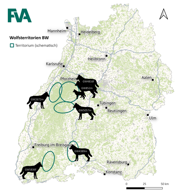 Wolfsterritorien in Baden-Württemberg
