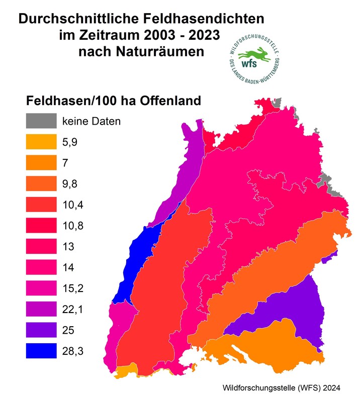 Feldhasenzählung, Feldhase, Wildtiermonitoring, Osterhase, Ostern, Biodiversität