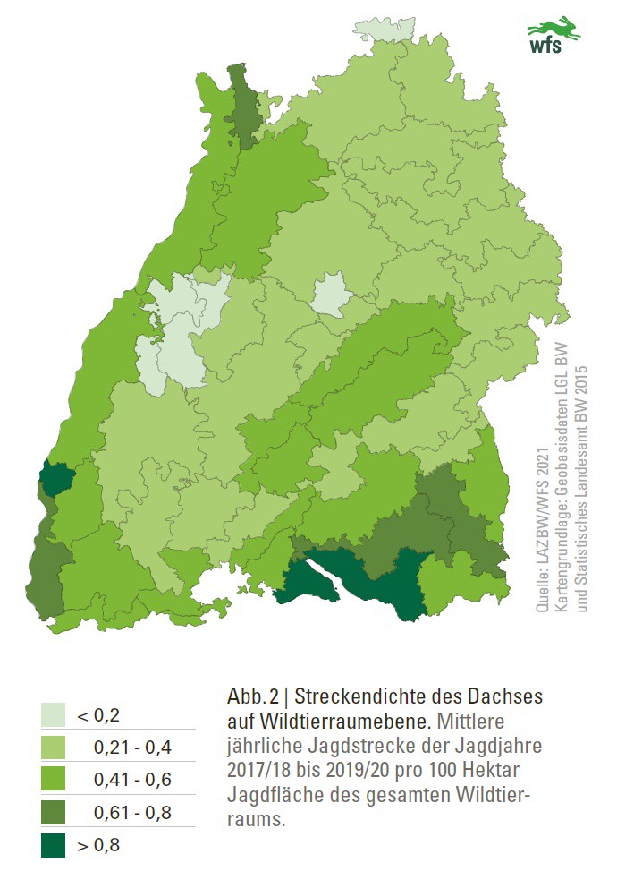 Streckendichte, Dachs, Wildtierraumebene, Wildtierbericht 2021