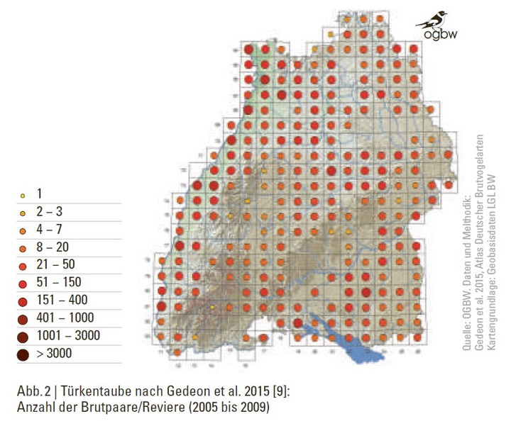 Türkentaube, Anzahl Brutpaare/Reviere (2005 bis 2009)