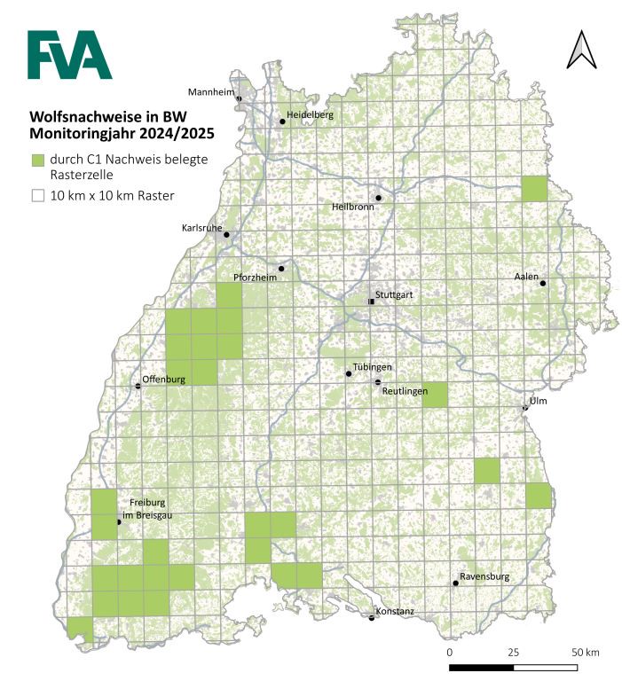 Abbildung 2: Wolfsnachweise aus dem Monitoringjahr 2024/2025