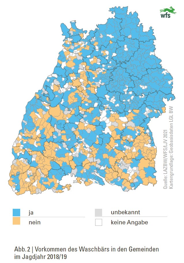 Wildtierbericht 2021, Vorkommen des Waschbärs in den Gemeinden von Baden-Württemberg