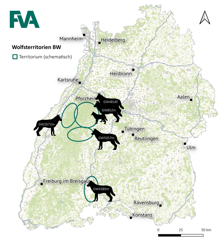 Wolfsterritorien in Baden-Württemberg