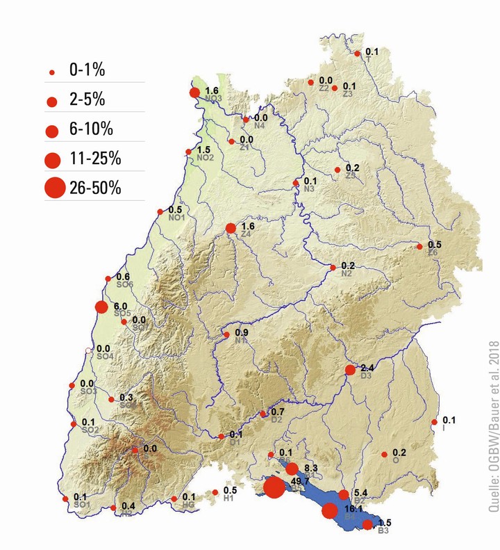 Winterverbreitung des Blässhuhns in Baden-Württemberg