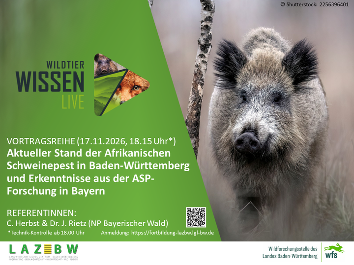 ASP, ASP-Forschung,Stand ASP