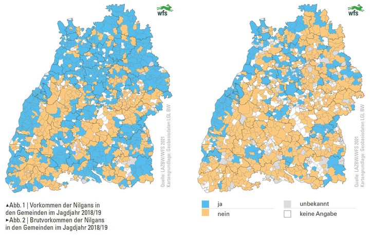 Wildtierbericht 2021, Vorkommen der Nilgans in Baden-Württemberg