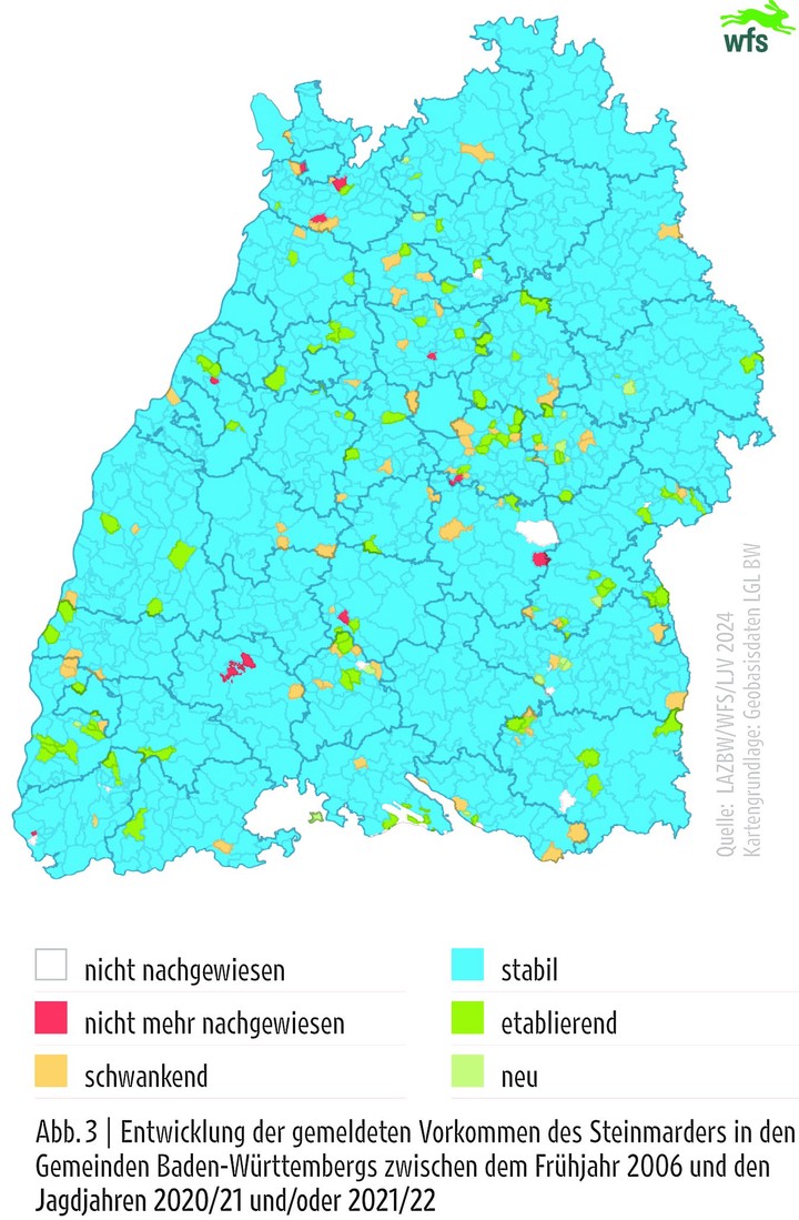 Wildtierbericht 2024, WTB 2024, Steinmarder, Verbreitung