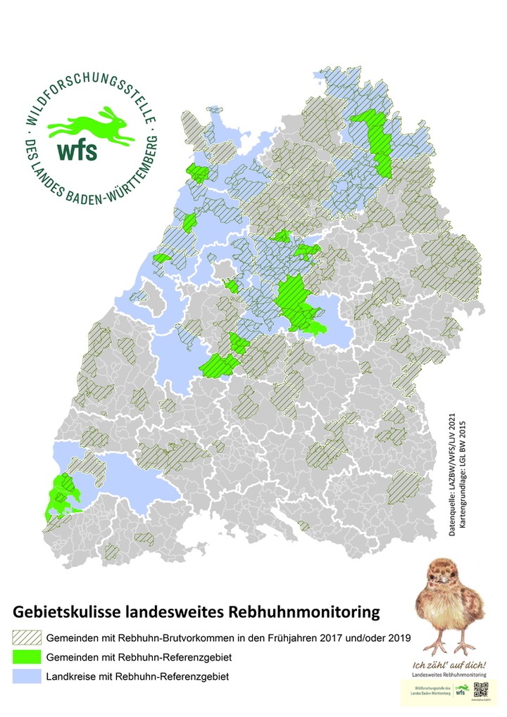 Rebhuhnmonitoring, Rebhuhnforschung, Wildforschungsstelle, WFS