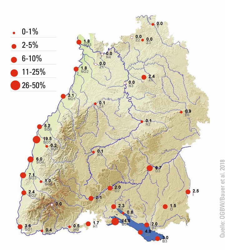 Winterverbreitung der Schnatterente in Baden-Württemberg