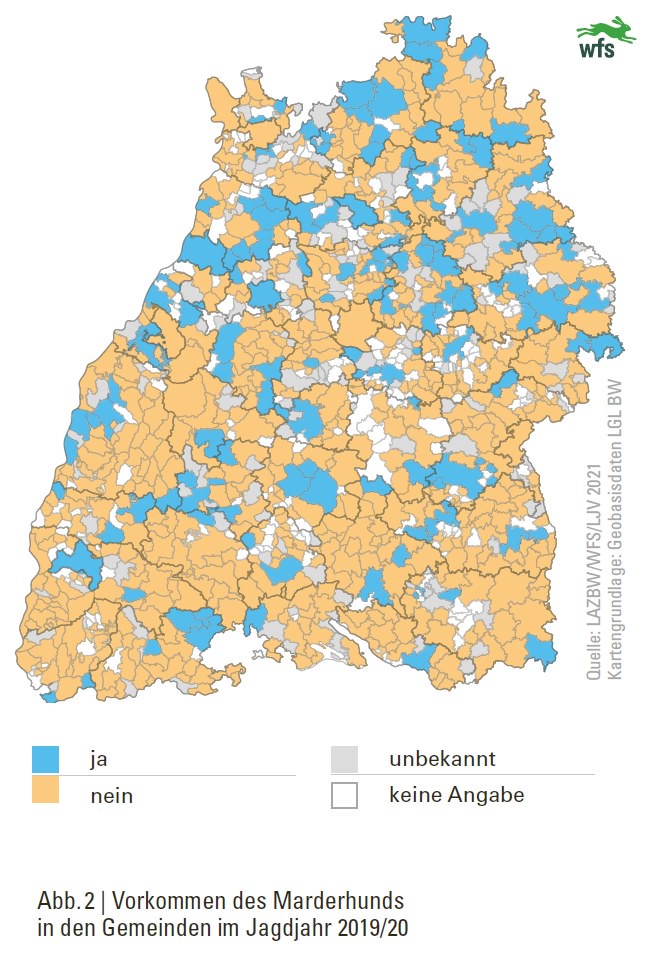 Wildtierbericht,2021, Marderhund Vorkommen, Gemeinden in Baden-Württemberg