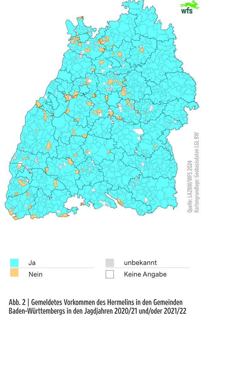 Wildtierbericht 2024, Vorkommen des Hermelin in den Gemeinden