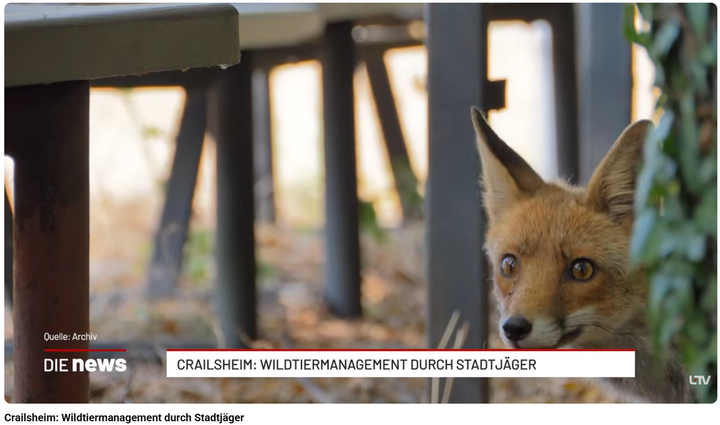 Wildtiermanagement, Stadjäger, Crailsheim@ ltv-dienews