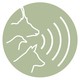 Icon,Tierstimme,Nilgans