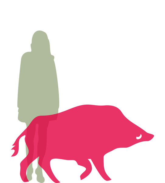 Wildschwein